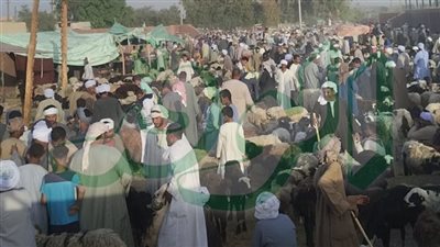 قبل الوقفة بساعات.. زحام كبير بسوق الإثنين بنصر النوبة وأسعار مناسبة للجميع 