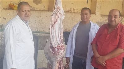 بيطري الفيوم تتابع المجازر الحكومية للتأكد من جاهزيتها لذبح الأضاحي 