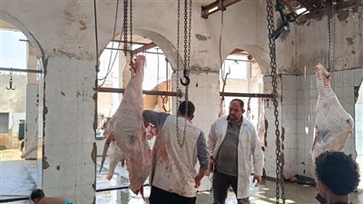 الشرقية: تكثيف المرور على المجازر الحكومية للتأكد من جاهزيتها لإستقبال الأضاحي بالمجان 