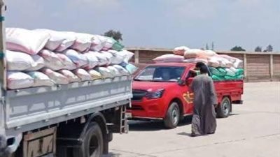 محافظ البحيرة: توريد القمح المحلي يتخطى 350 ألف طن بجميع مواقع التخزين