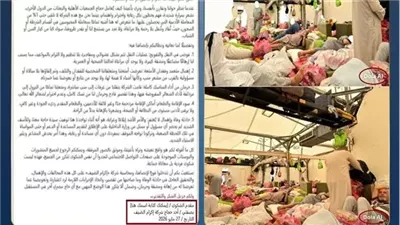 مصدر أمني.. ينفي مزاعم تضرر الحجاج المصريين من الإهمال وسوء المعاملة