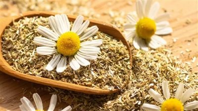 البابونج بعد فتة عيد الأضحى.. مشروب ذهبي يخفف اضطرابات الهضم 