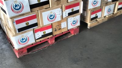 مصر ترسل شحنة أدوية ومستلزمات طبية إلى الكونغو الديمقراطية وأوغندا لمواجهة الإيبولا