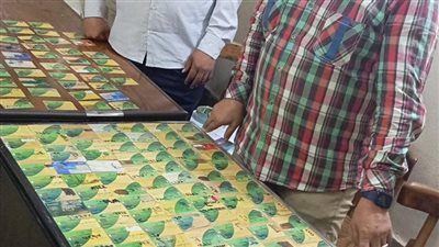 ضبط 183 بطاقة تموينية وكميات كبيرة من السلع المدعمة بالغربية