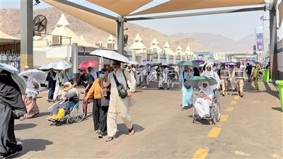 وزارة السياحة: نجاح وانتظام كامل لعمليتي التصعيد إلى عرفات والنفرة إلى المزدلفة