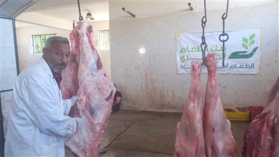 ذبح 65 عجلًا بمجازر الأقصر وتوزيع لحومها على 13000 أسرة مستحقة