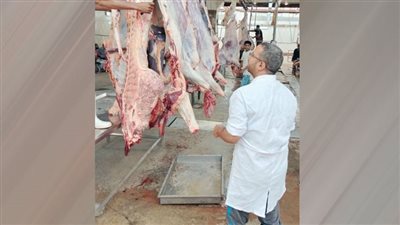 ذبح 7 آلاف أضحية بالمجازر الحكومية فى ثالث أيام عيد