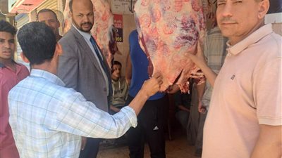 ضبط سلع غذائية منتهية الصلاحية في حملات بالمنيا 