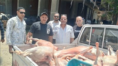 ضبط مصنعات دواجن فاسدة ولحوم مذبوحة خارج المجازر الحكومية بالجيزة