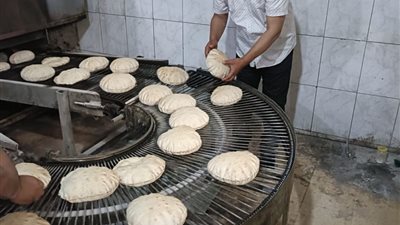 تموين البحيرة تنفذ 19 حملة رقابية على الأسواق والمخابز خلال عيد الأضحى 