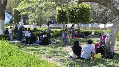 الحدائق العامة تستقبل آلاف الأسر المصرية وسط أجواء من البهجة والاحتفال