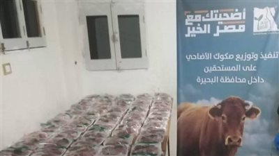 محافظ البحيرة تشيد بجهود 