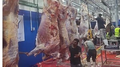 مجازر الشرقية تستقبل أكثر من 3 آلاف أضحية بالمجان خلال عيد الأضحى
