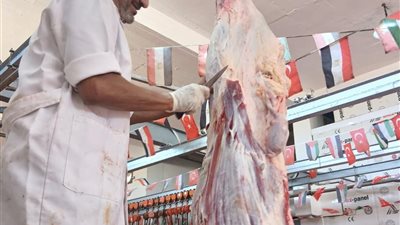 ذبح 3505 أضحية بمجازر البحر الأحمر