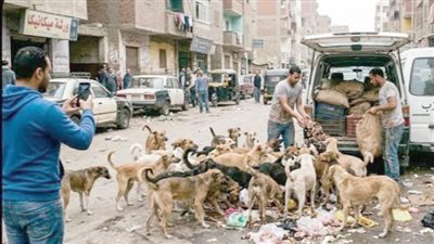 دعوات للقتل الجماعي ومطالب بالتعقيم والتطعيم