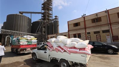 محافظ كفر الشيخ: توريد 247 ألف طن قمح بنسبة 88.3%