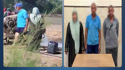 خلافات ميراث.. الداخلية تكشف ملابسات فيديو التعدي على مسن داخل أرض زراعية بالبحيرة