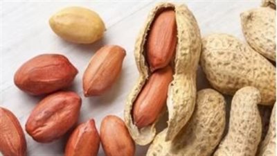 الفول السوداني وصحة المرأة.. فوائد غذائية تعزز القوة والحيوية