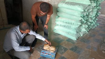 ضبط دقيق بلدي وتحرير 64 محضرا ضد المخابز بالفيوم 