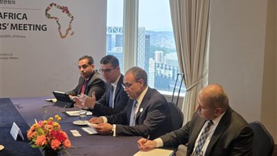 وزير الخارجية يلتقي المدير التنفيذي بالبنك الكوري للتصدير والاستيراد