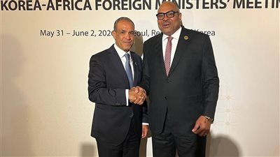 وزير الخارجية يلتقي نظيره التنزاني على هامش الاجتماع الوزاري الكوري الأفريقي