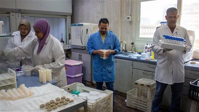 الزراعة: المعمل المركزي لمتبقيات المبيدات حلل 2500 عينة خلال إجازة عيد الأضحى