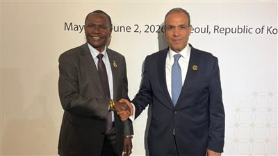 وزير الخارجية يلتقي نظيره الجنوب سوداني 