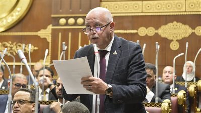 حازم الجندي:حملات التشكيك في قيم الانتماء من الحروب النفسية التي تستهدف تفكيك الوعي الوطني