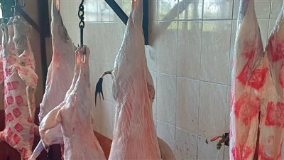 ذبح 4519 أضحية في مجازر البحيرة خلال عيد الأضحي