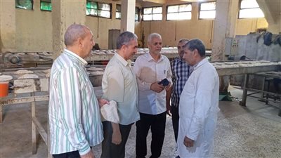 ضبط مخالفات تموينية في حملة مفاجئة فاقوس