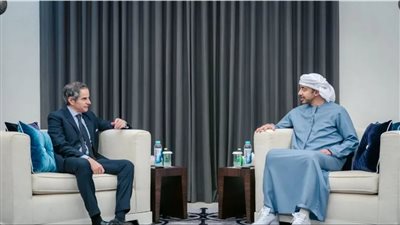 عبدالله بن زايد يستقبل مدير الوكالة الذرية