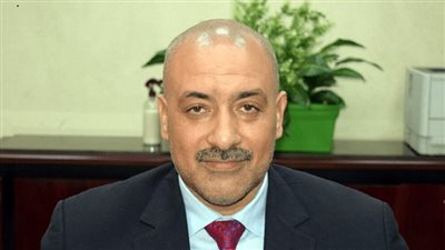 حاتم النجيب: دخلنا الموسم الصيفي وأسعار الطماطم تتراجع