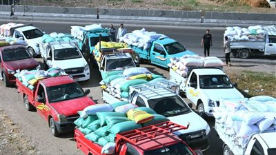  توريد 386 ألف طن قمح في شون وصوامع البحيرة