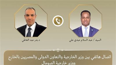 وزير الخارجية ونظيره الصومالي يبحثان تطورات الأوضاع بالصومال