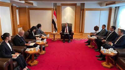 وزير الخارجية: مصر شهدت تطورًا كبيرًا في الاقتصاد والبنى التحتية