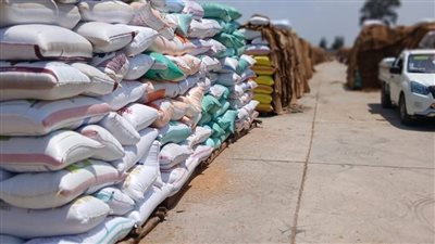 توريد 391 ألف طن قمح إلي شون وصوامع البحيرة 