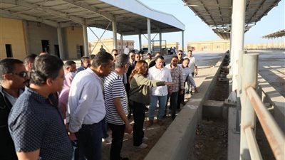المجزر الالى الجديد بالغردقة هو الأكبر ويحقق عوائد اقتصادية وبيئية