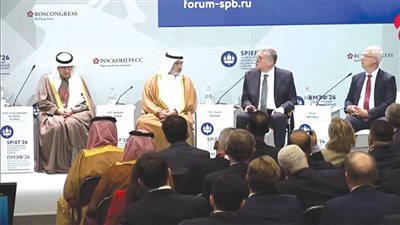 مصر تطرح خريطة طريق لتعزيز أمن الطاقة وتطوير التعدين