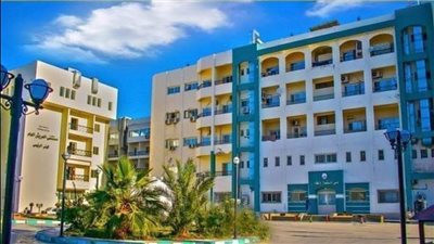 وصول دفعة جديدة من أطباء الجامعات المصرية إلى مستشفى العريش العام