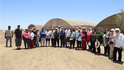 احتفاءً باليوم العالمي للبيئة 2026.. المانجروف في صدارة الجهود الداعمة للطبيعة والإستدامة