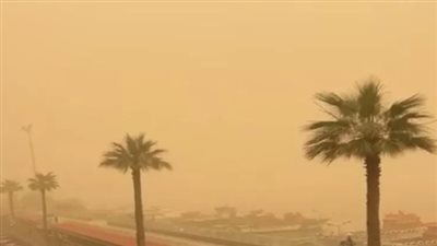 في القاهرة.. الأرصاد تحذر من طقس شديد الحرارة اليوم الإثنين