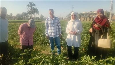  الزراعة بالفيوم  تطلق الدفعة الأولى من طفيل 