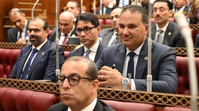 برلماني: الرقابة وإعادة هيكلة الجهاز الحكومي ركائز الإدارة الرشيدة للموارد العامة