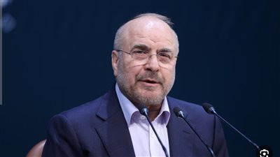رئيس البرلمان الإيراني: ردنا سيبقى كما هو في هذه الحالة