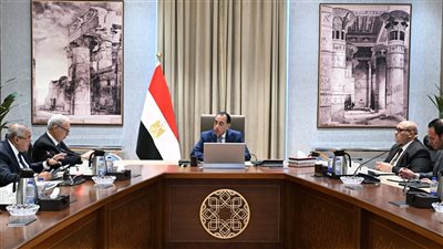 رئيس الوزراء يتابع جهود تنفيذ خطة إعادة هيكلة وحوكمة الشركات المملوكة للدولة