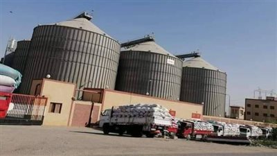 الفيوم تتخطى المستهدف.. توريد 248 ألف طن قمح بالشون والصوامع
