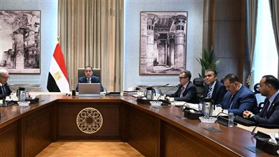 مدبولى يستعرض خطوات إعداد البرنامج التنفيذي الوطني لدعم ريادة الأعمال والابتكار