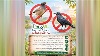 الصيادون المصريون: نكافح للحد من انتشار طائر المينا والغراب الآسيوى