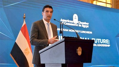 وزير الصناعة يستعرض مستجدات استراتيجية النهوض بالصناعة المصرية 2030 