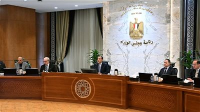 رئيس الوزراء: توريد 4.6 مليون طن قمح من المزارعين حتى الآن
